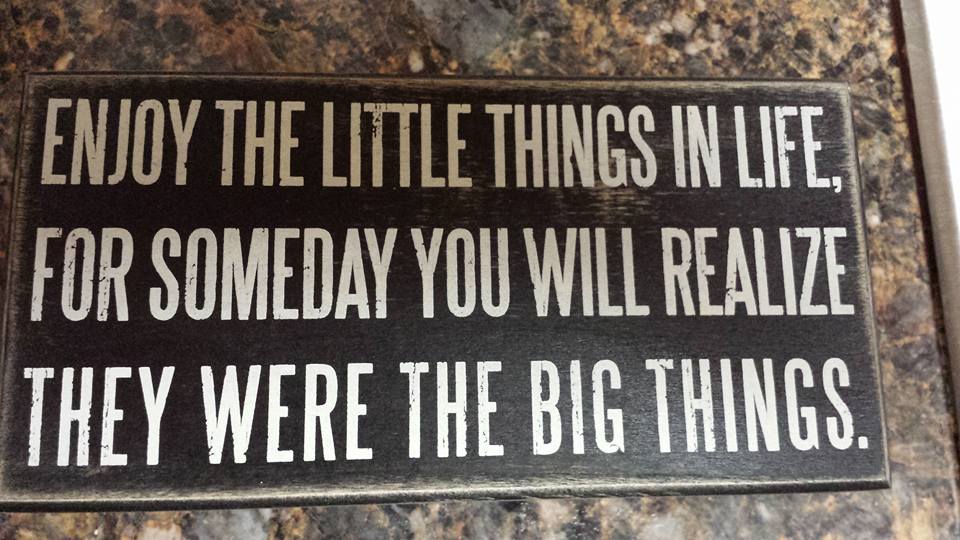 13239093_10156953529865068_530094706810489470_n
